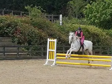 Photo de Boswell Equestrian Centre
