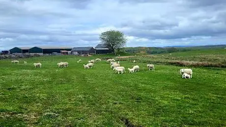 Photo de Kilmacolm Farm Tours