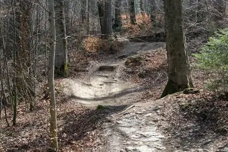 GurtenTrail MTB