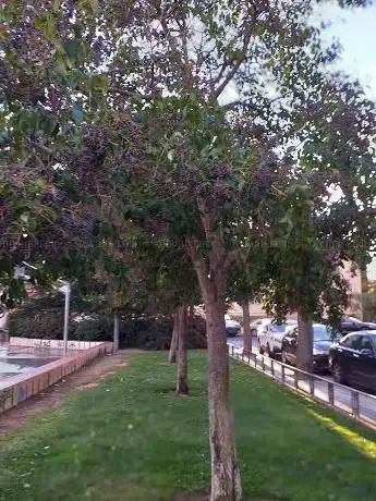 Photo de Plaça de la Sardana