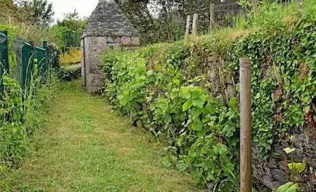 Jardin des vignes