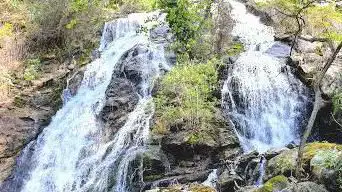 Photo de Lac de cenne Monestiés