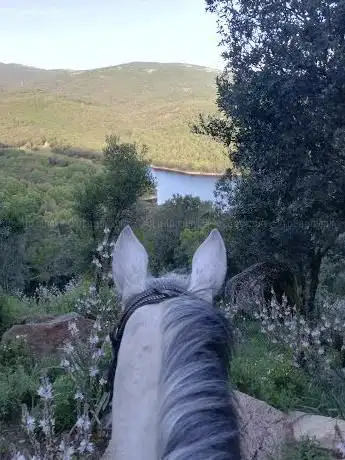 Centro Equestre Taloro
