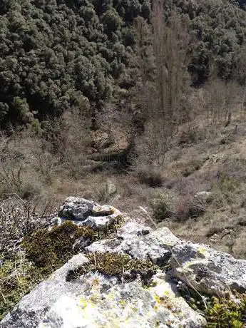 Photo de Castaño de la Nisia