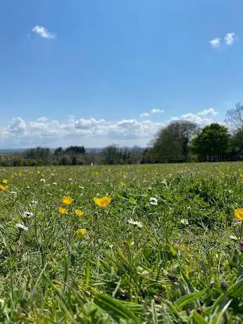 The Paddock