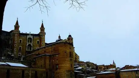 Raffaello Travel Group