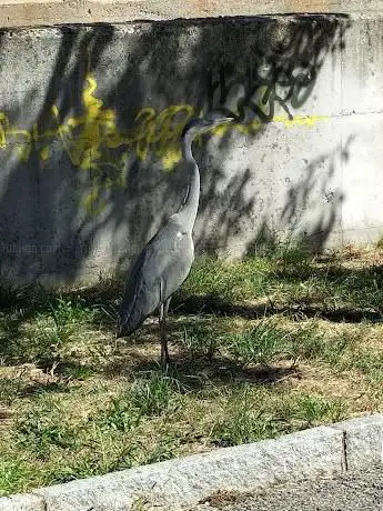 Antico Lavatoio sulla Roggia Serio