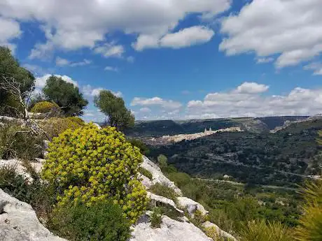 Photo de Capra D'oro