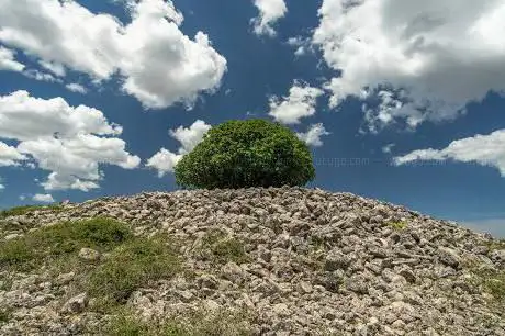 Photo de specchia dei mori
