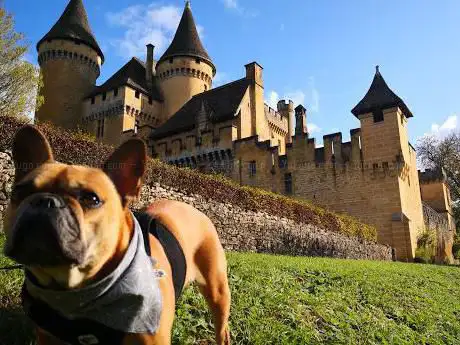 Photo de Tourisme avec mon chien