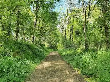 Photo de Promenade du Chemin de Godebert
