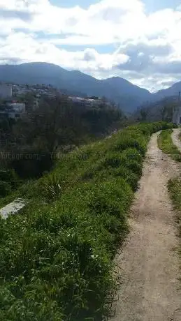 Photo de Parque de los Pinos