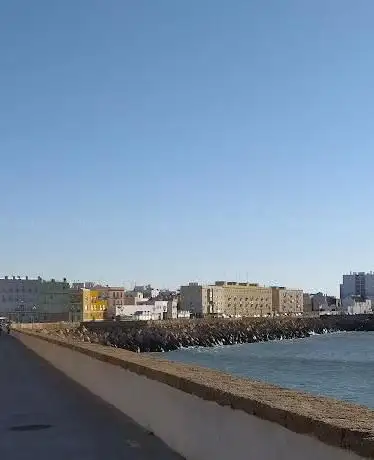 Free tour Cádiz Tours gaditanos