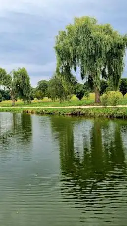Photo de Forêt de Ferrières