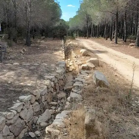 Pickneckstelle Capo Comino