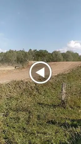 Photo de motocross saint-just sauvage