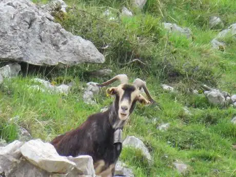 Photo de camino Sabariego