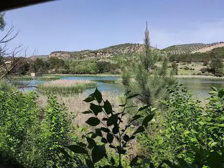 Photo de Observatorio de aves