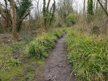 Photo de Chitty's Common