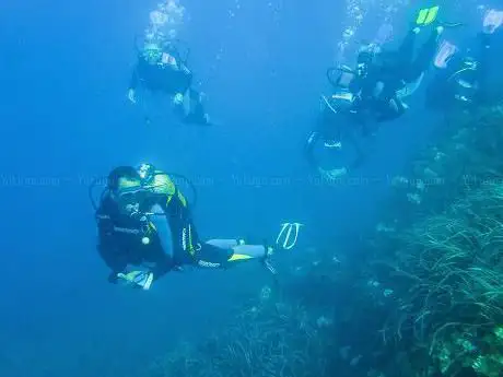 Le Poseidon - Plongée à Nice / Diving in Nice