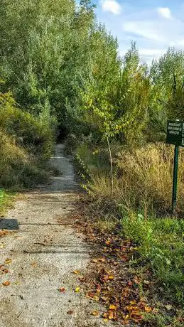Photo de Camino del RÃÂo Ebro