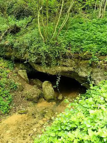 Source des fées