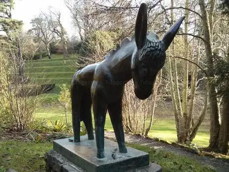 Donkey