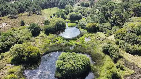 Photo de Parque Natural de Carreirón