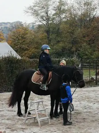 A.S.D. Equitando
