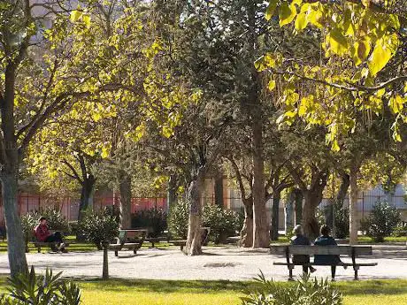 Photo de Parque de los Olivos
