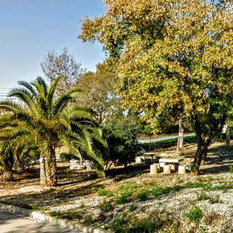 Photo de Merendero Maleco