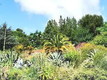 Jardin botanique de Nice