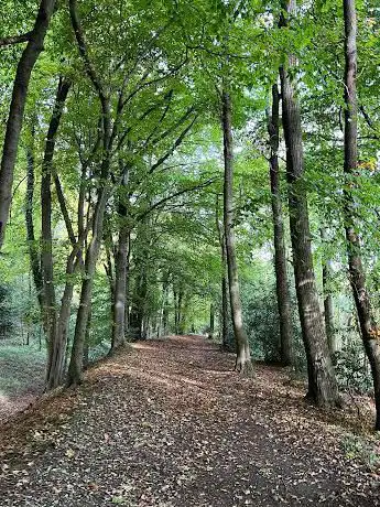 Photo de Berkhamsted Common