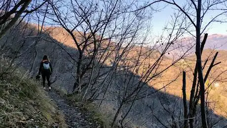 Photo de Monte Collalto
