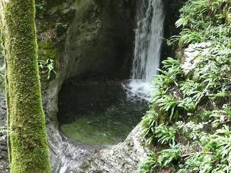 Photo de Vajo dell'Orsa