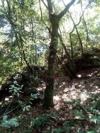 Antiguo poblado de Cortegada