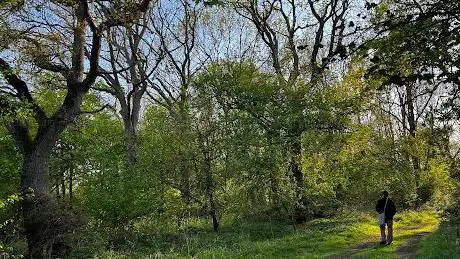 Photo de Castor Hanglands National Nature Reserve