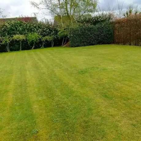 Tuinwerken Brecht en omstreken