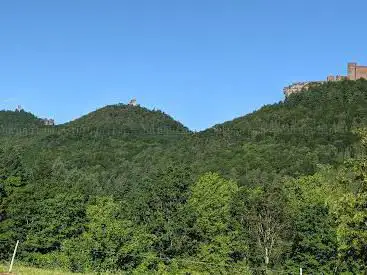 Markwardanlage