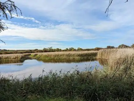 Photo de Far Ings National Nature Reserve