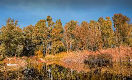 Lago