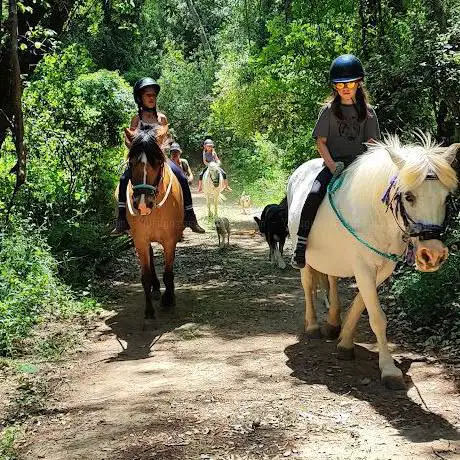 Photo de Cavalls de Terraprim