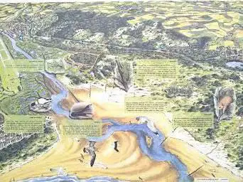 Réserve naturelle nationale de la baie de Canche