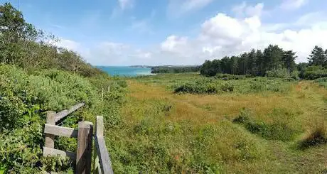 Bouldnor Forest Nature Reserve