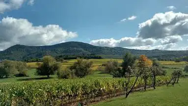 Photo de Parc Sous les Platanes