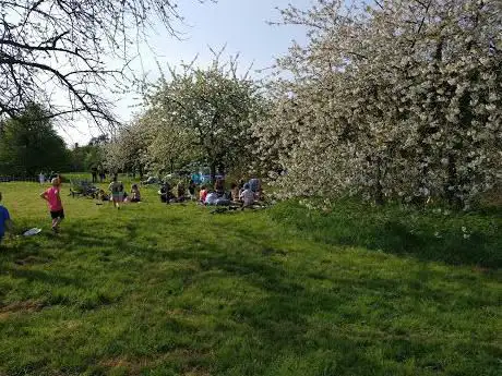 Photo de Macey's Meadow