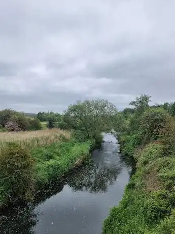 Duck Bay