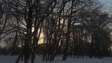 Parc de la Hunière