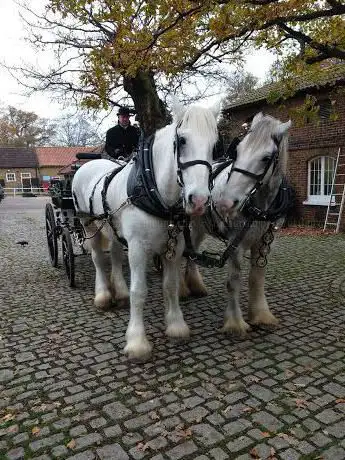 Photo de Operation Centaur