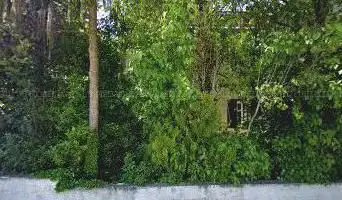 Ancienne gare de Kirchheim